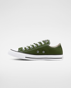 Converse Seasonal Color Chuck Taylor All Star Női Rövidszárú Szürke/Zöld | ORPUHKW-HU